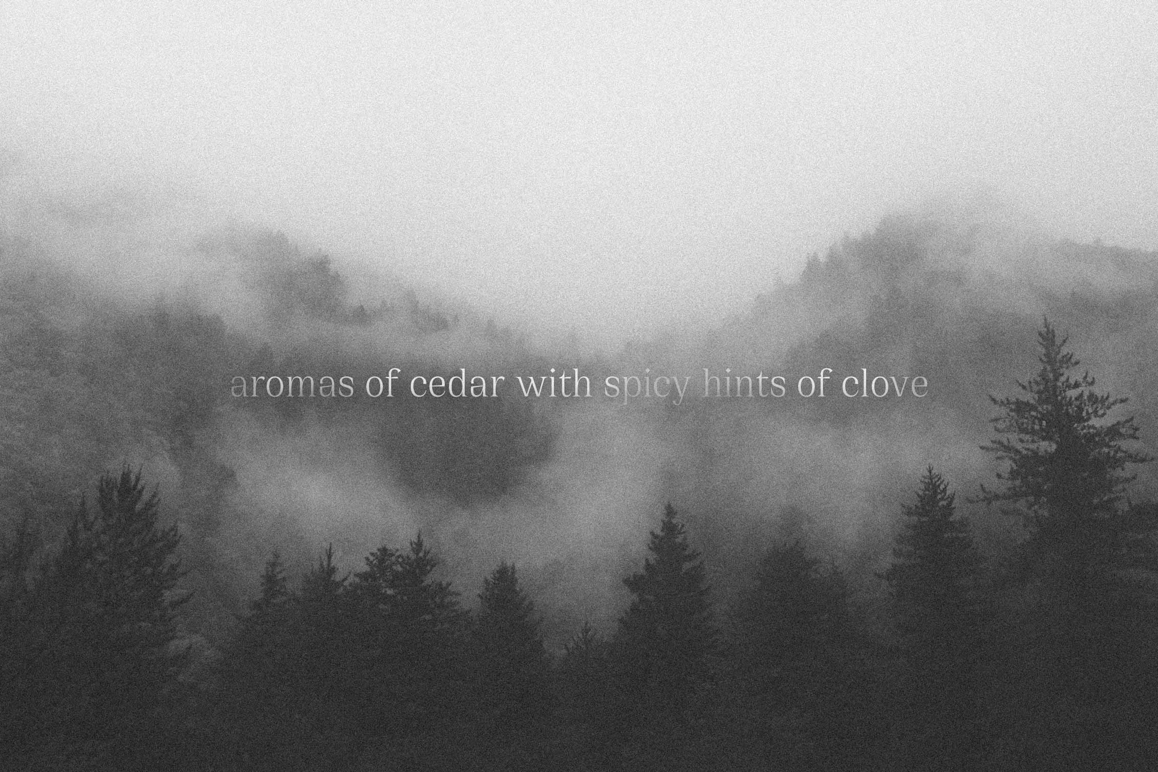 Aidan_Booth_Wine_Bottle_05